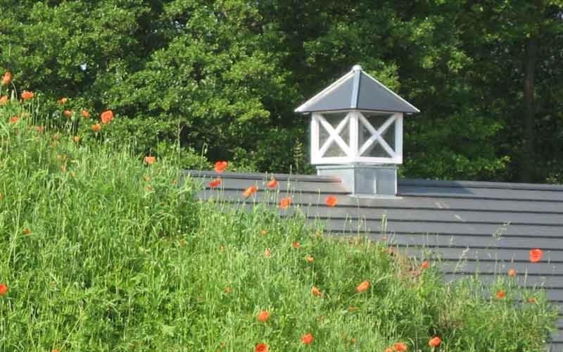 Louisenhof Ferienapartments Und Wellness Burg  Exterior foto